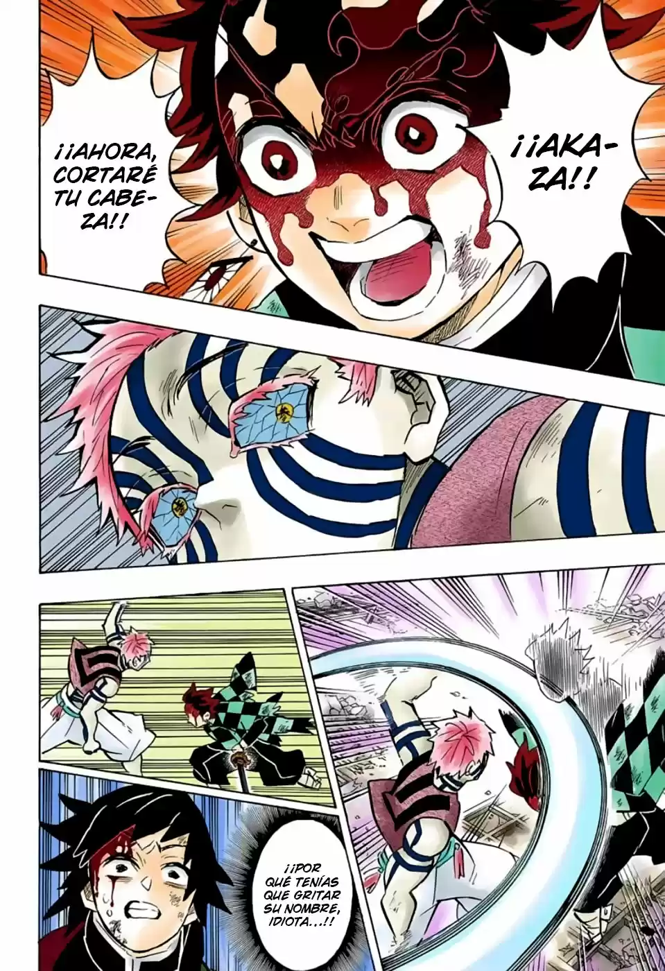 Kimetsu No Yaiba - Capítulo 152.50 - Página 19 - LectorTMOo