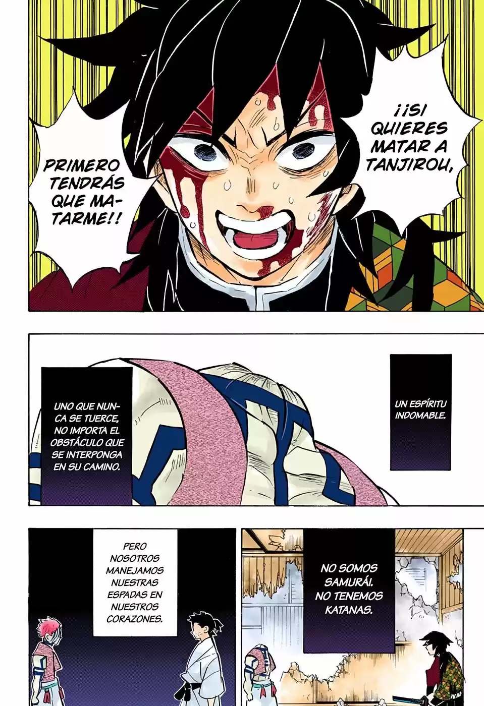 Kimetsu No Yaiba - Capítulo 153.50 - Página 19 - LectorTMOo