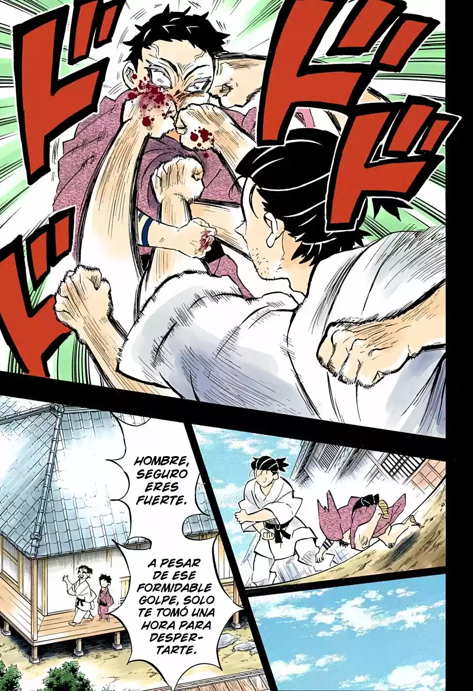Kimetsu No Yaiba - Capítulo 154.50 - Página 16 - LectorTMOo