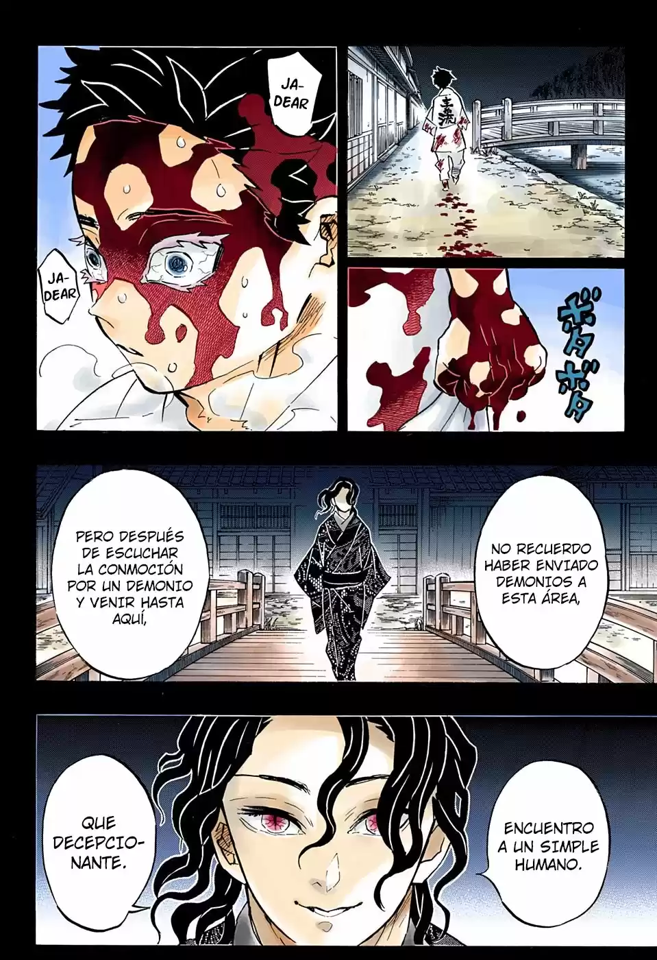 Kimetsu No Yaiba - Capítulo 155.50 - Página 17 - LectorTMOo