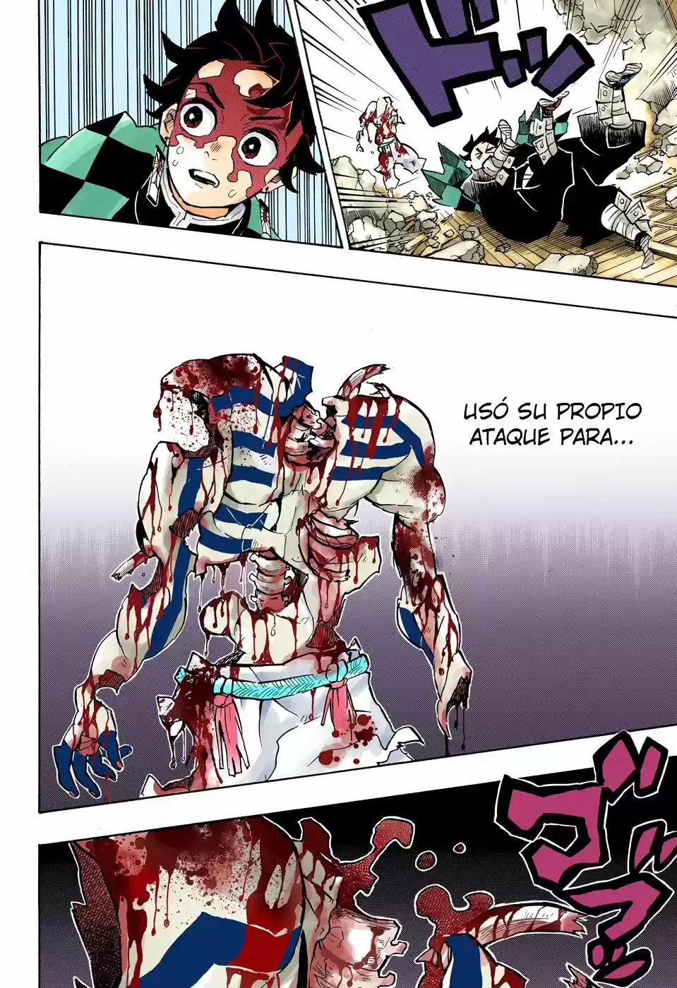 Kimetsu No Yaiba - Capítulo 156.50 - Página 13 - LectorTMOo