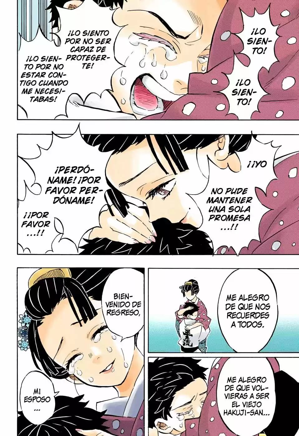 Kimetsu No Yaiba - Capítulo 156.50 - Página 21 - LectorTMOo