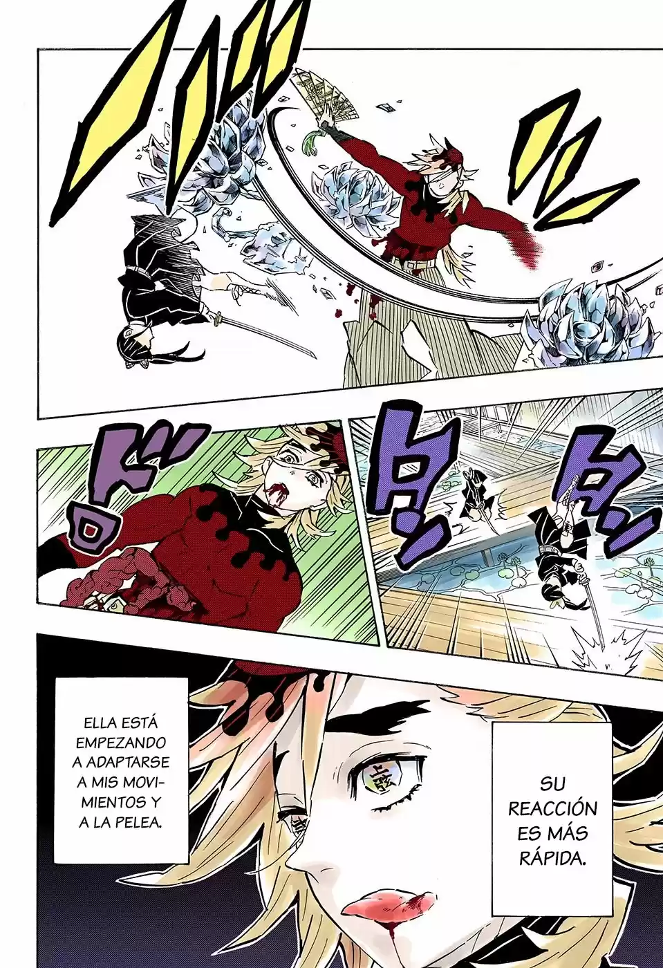 Kimetsu No Yaiba - Capítulo 157.50 - Página 19 - LectorTMOo
