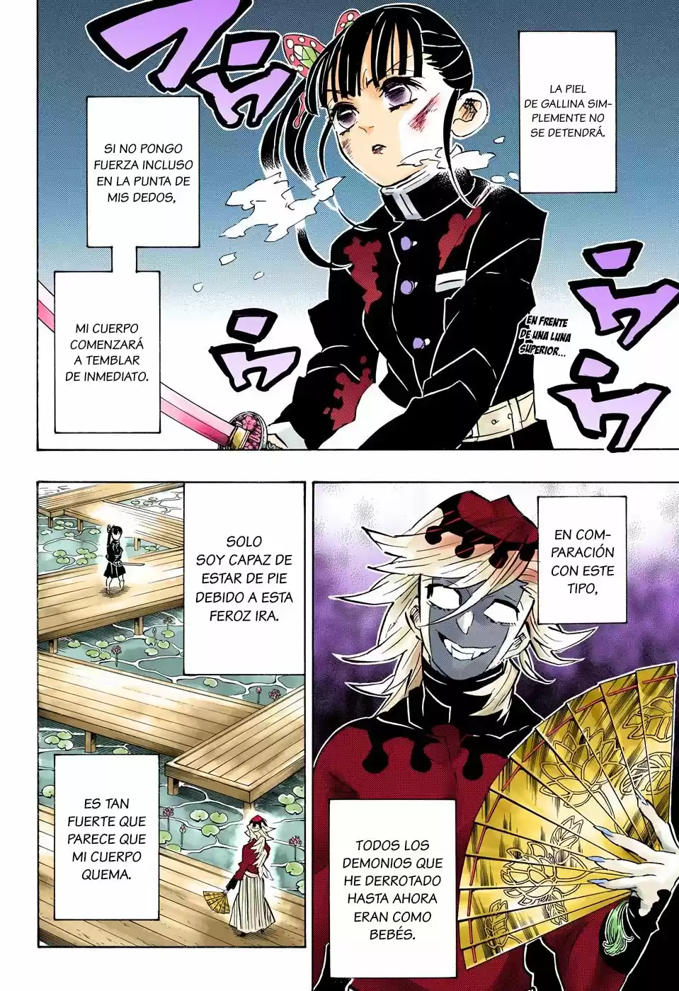 Kimetsu No Yaiba - Capítulo 158.50 - Página 3 - LectorTMOo