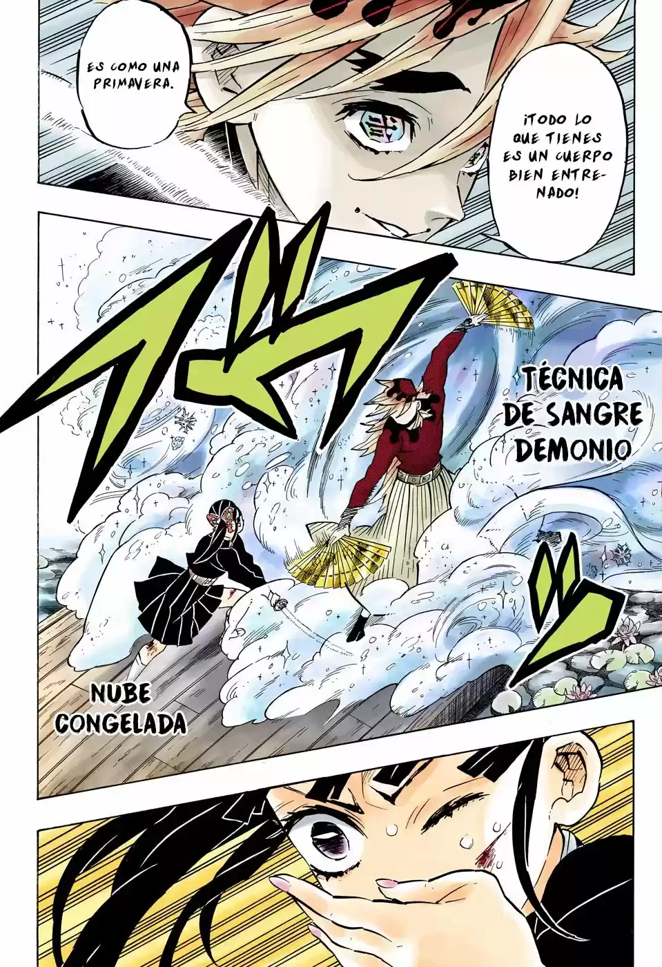 Kimetsu No Yaiba - Capítulo 158.50 - Página 9 - LectorTMOo