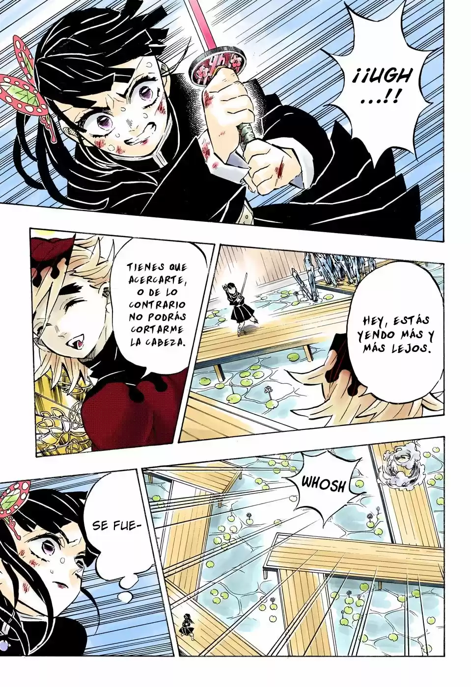 Kimetsu No Yaiba - Capítulo 158.50 - Página 14 - LectorTMOo