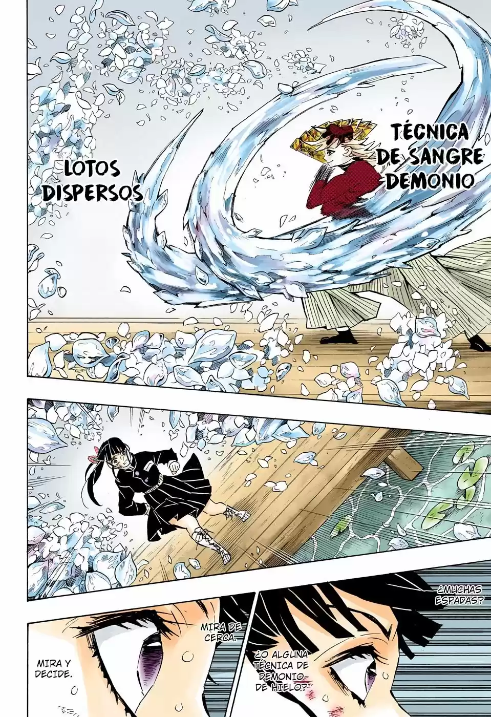 Kimetsu No Yaiba - Capítulo 158.50 - Página 17 - LectorTMOo
