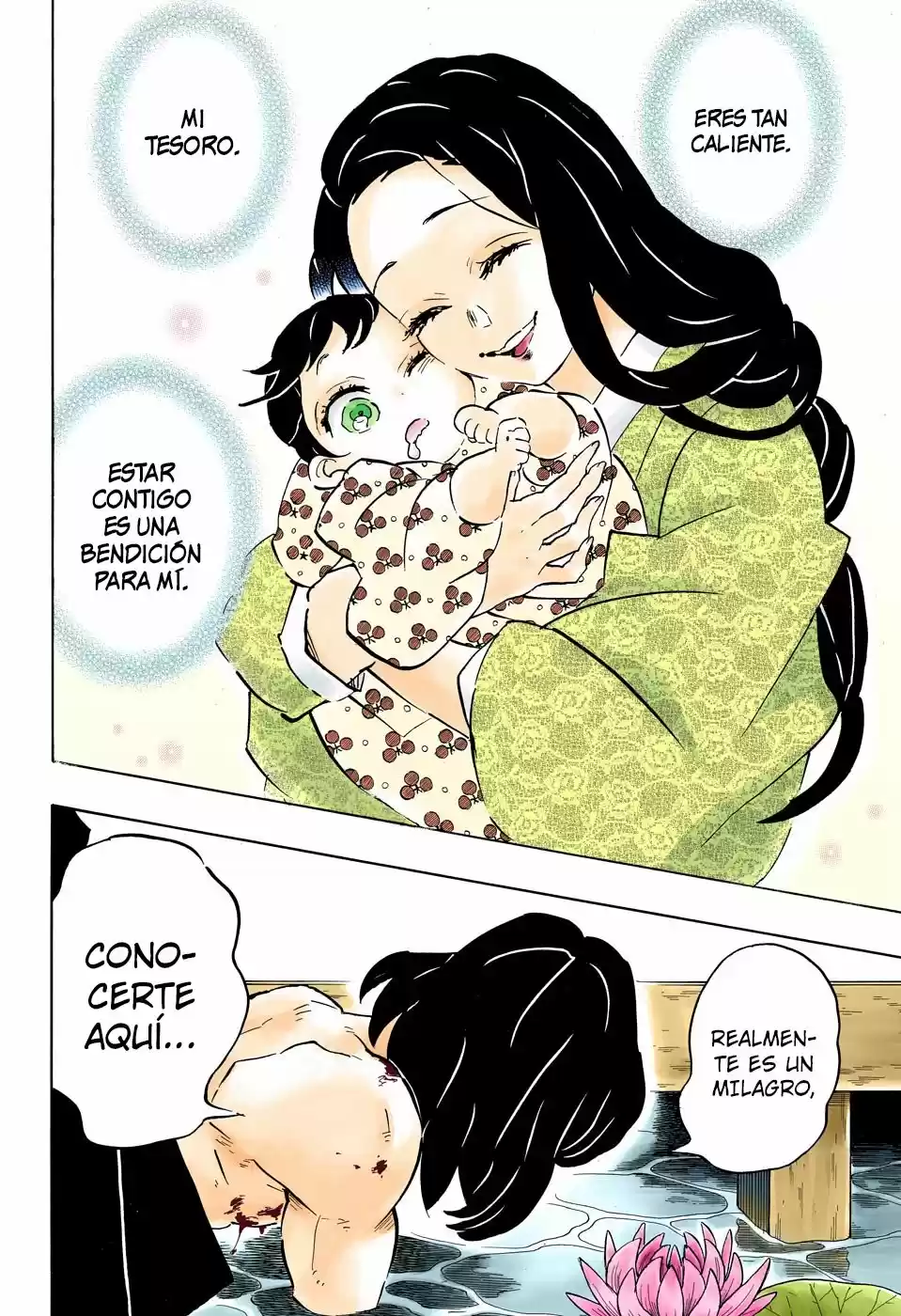 Kimetsu No Yaiba - Capítulo 160.50 - Página 19 - LectorTMOo