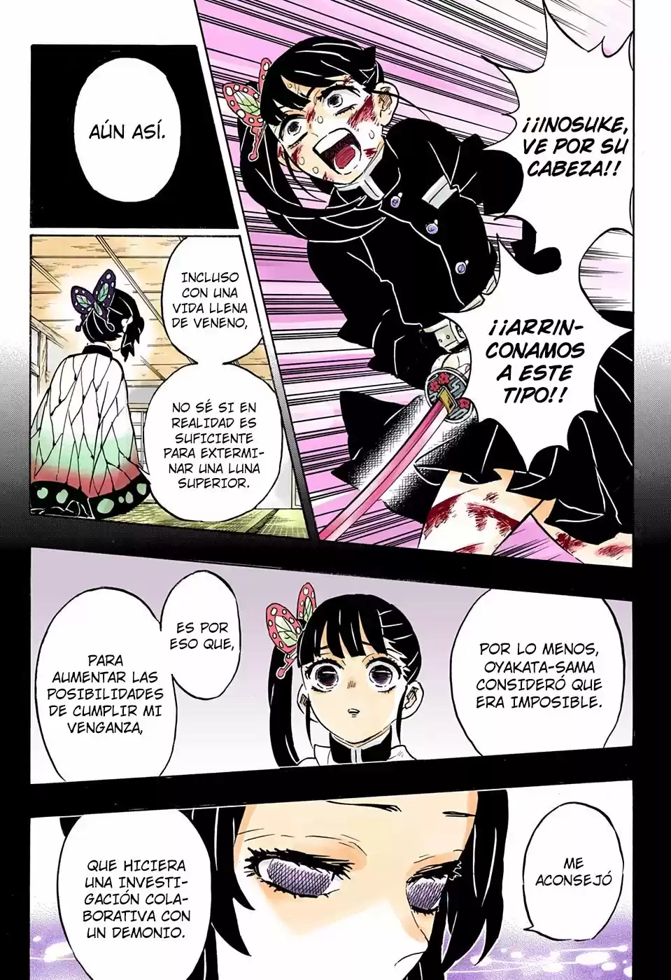 Kimetsu No Yaiba - Capítulo 162.50 - Página 12 - LectorTMOo