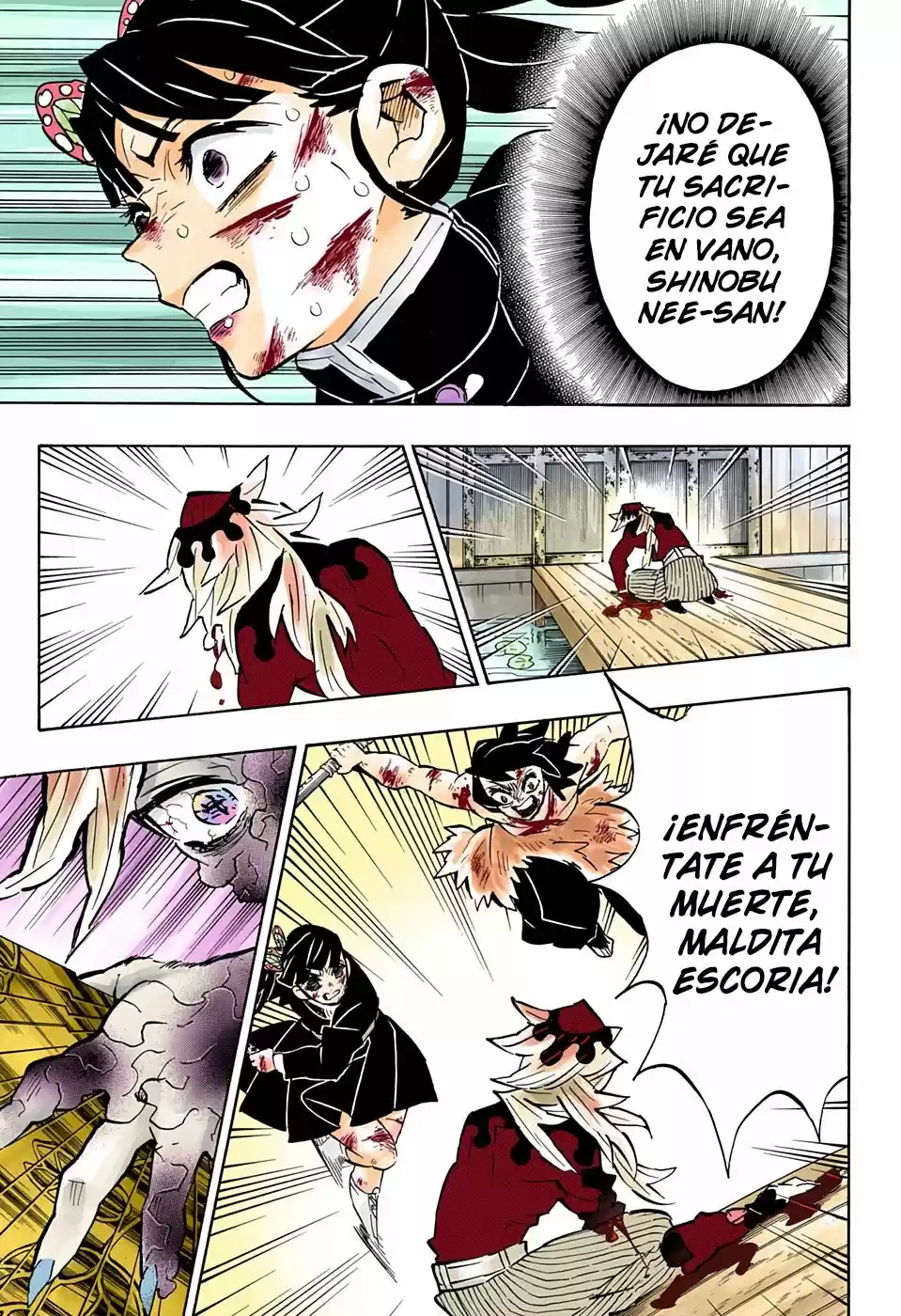 Kimetsu No Yaiba - Capítulo 162.50 - Página 14 - LectorTMOo