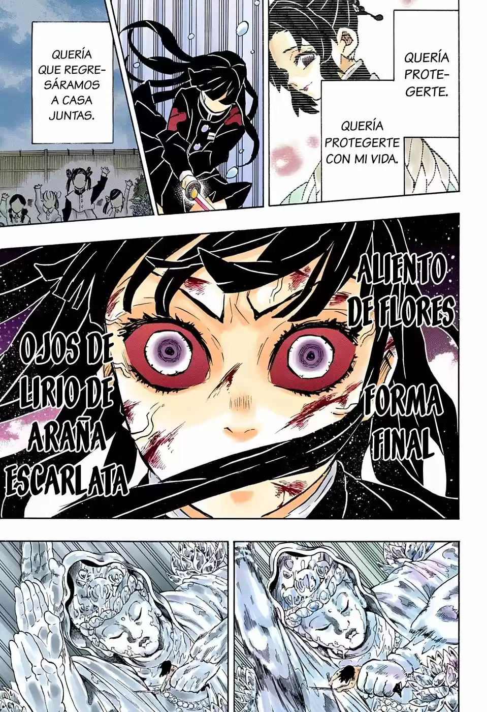 Kimetsu No Yaiba - Capítulo 162.50 - Página 19 - LectorTMOo