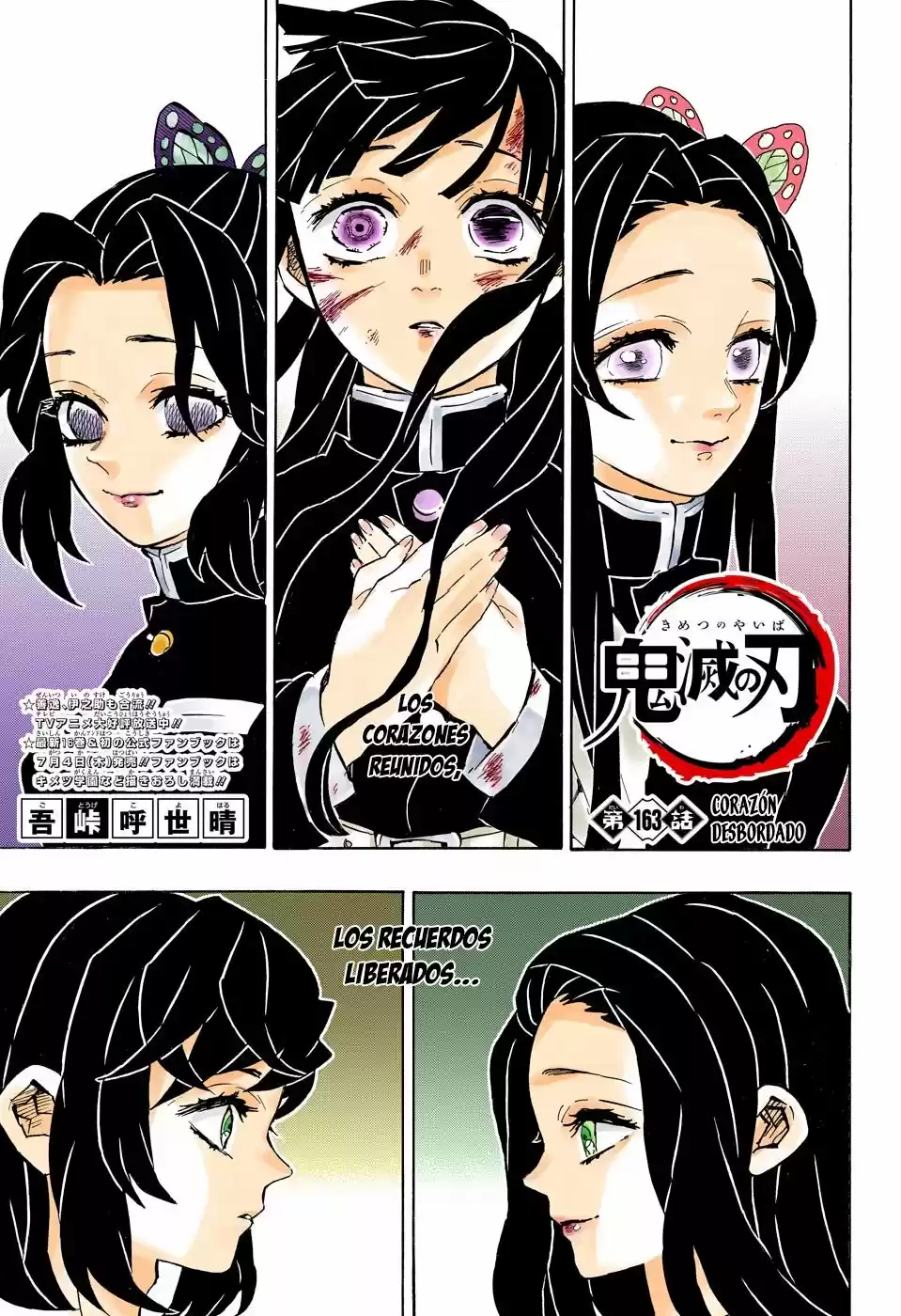 Kimetsu No Yaiba - Capítulo 163.50 - Página 2 - LectorTMOo