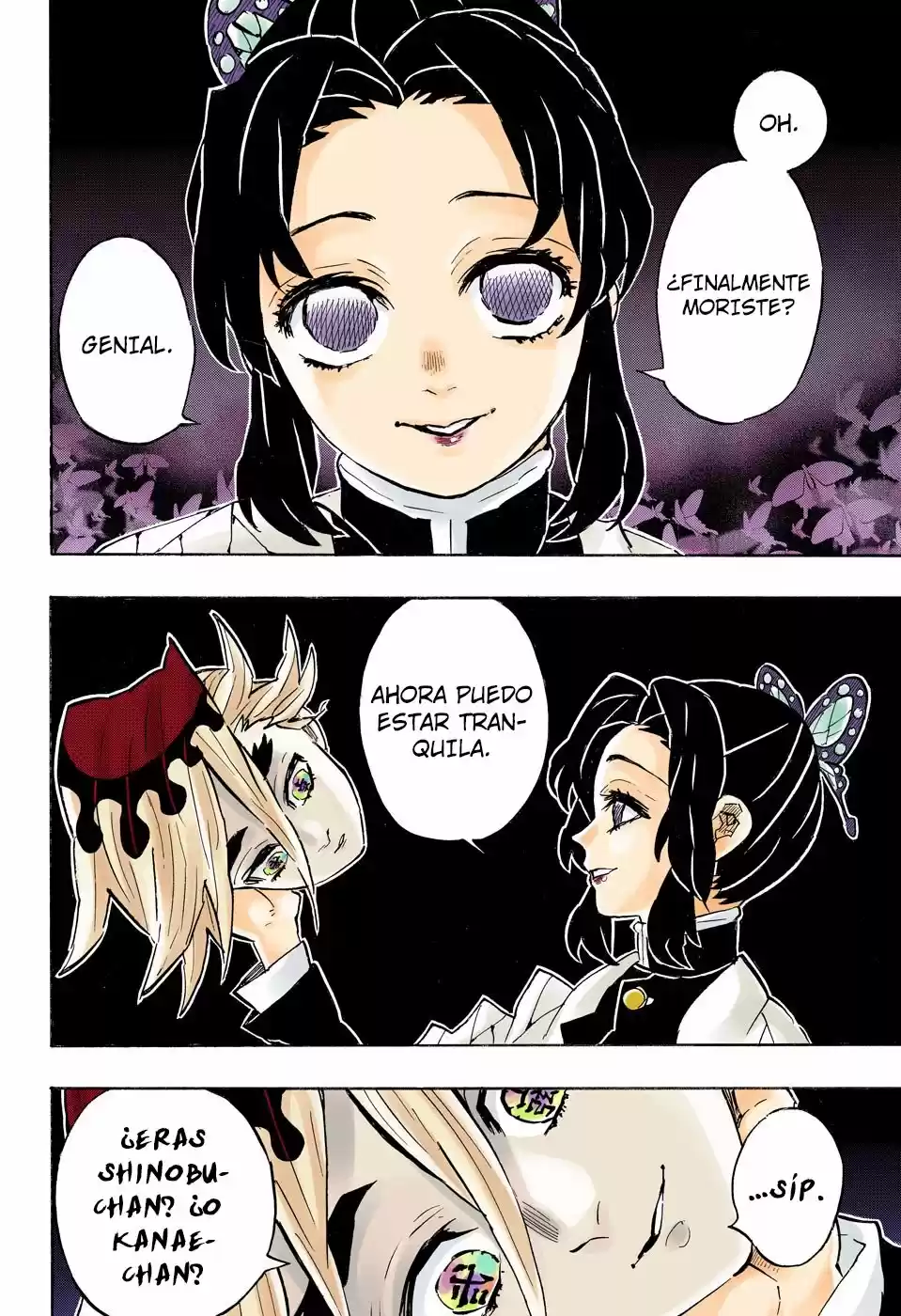Kimetsu No Yaiba - Capítulo 163.50 - Página 7 - LectorTMOo