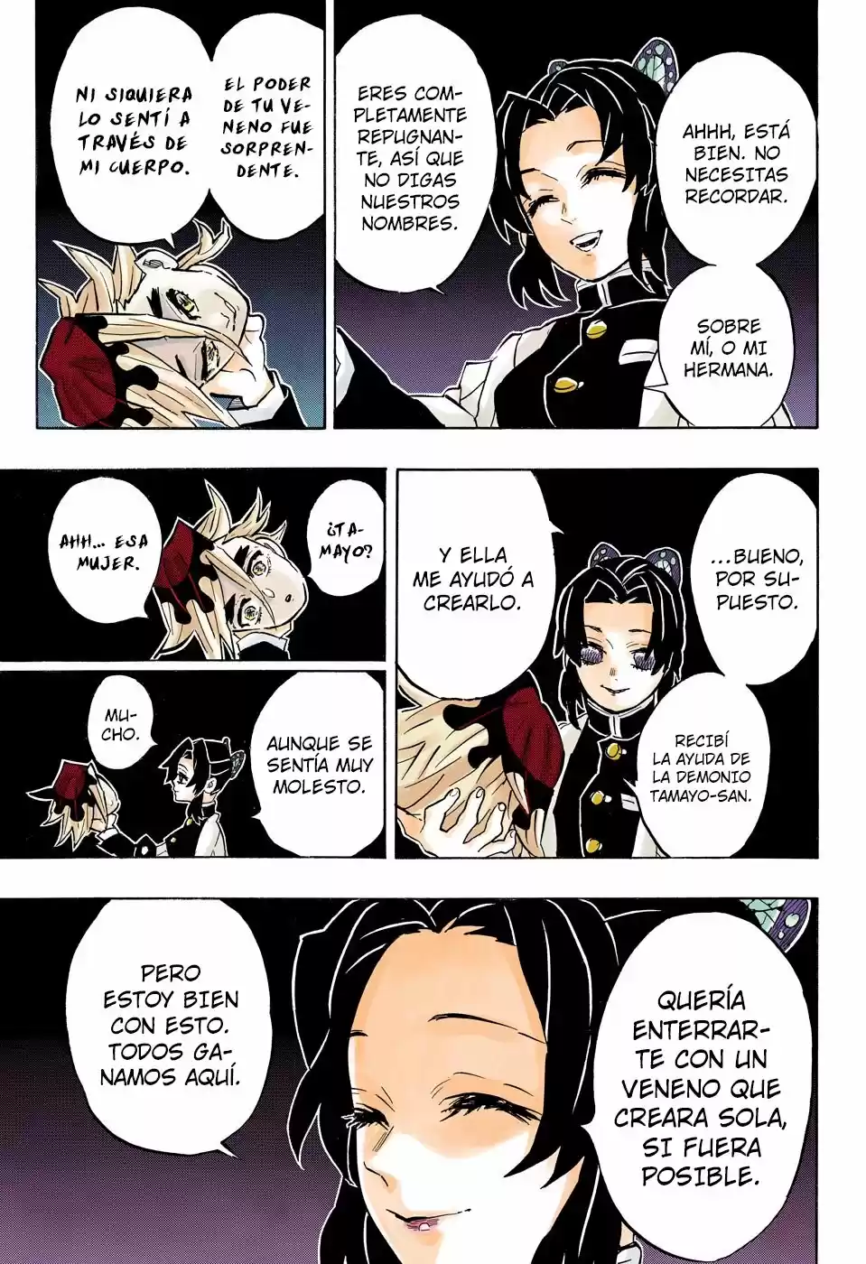 Kimetsu No Yaiba - Capítulo 163.50 - Página 8 - LectorTMOo