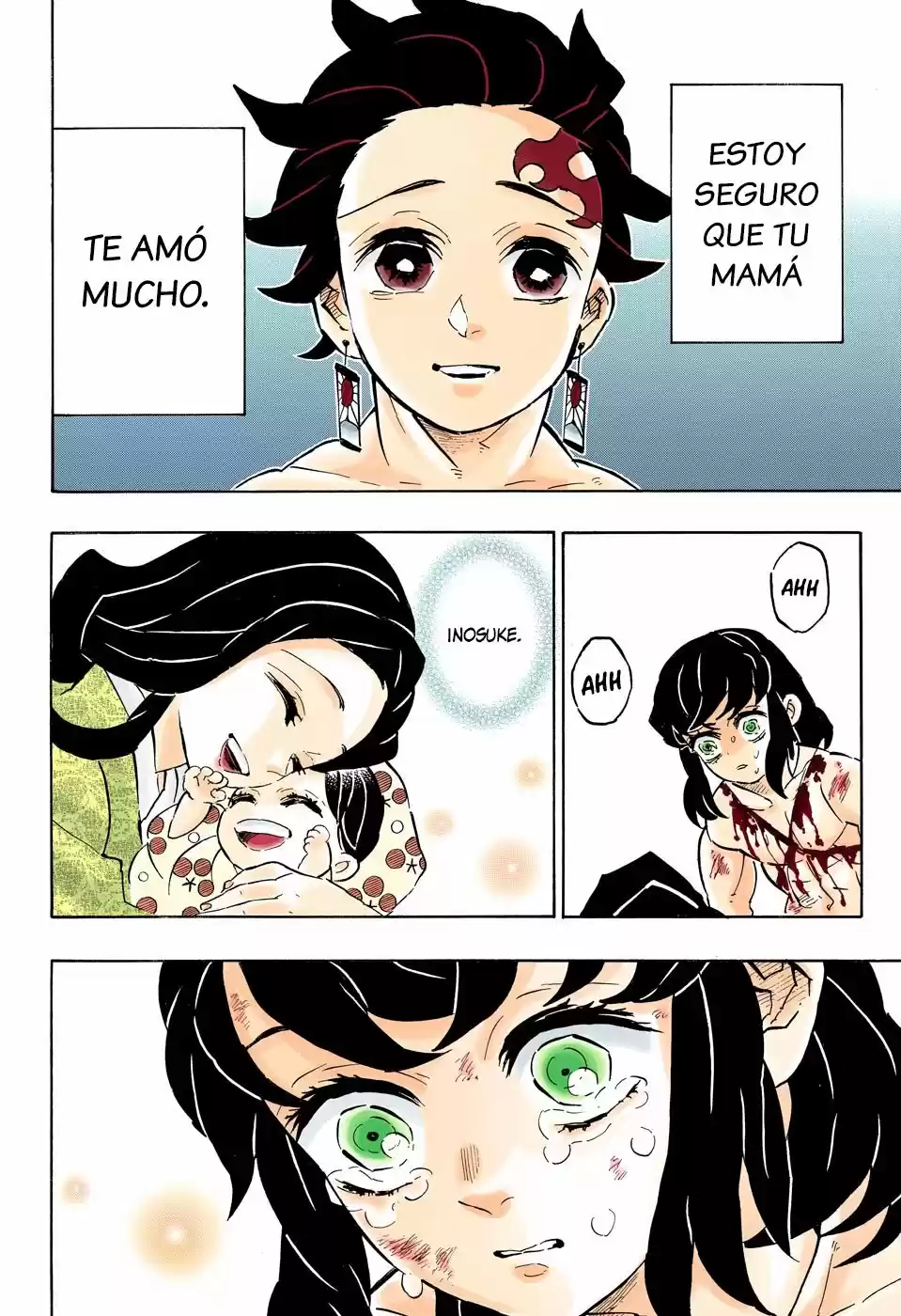 Kimetsu No Yaiba - Capítulo 163.50 - Página 13 - LectorTMOo