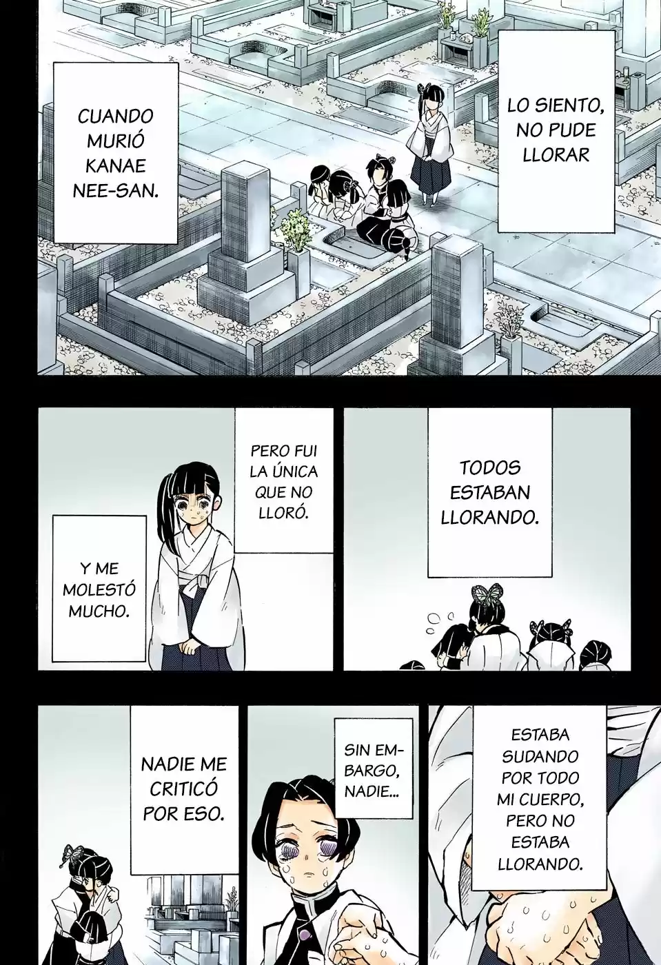 Kimetsu No Yaiba - Capítulo 163.50 - Página 15 - LectorTMOo
