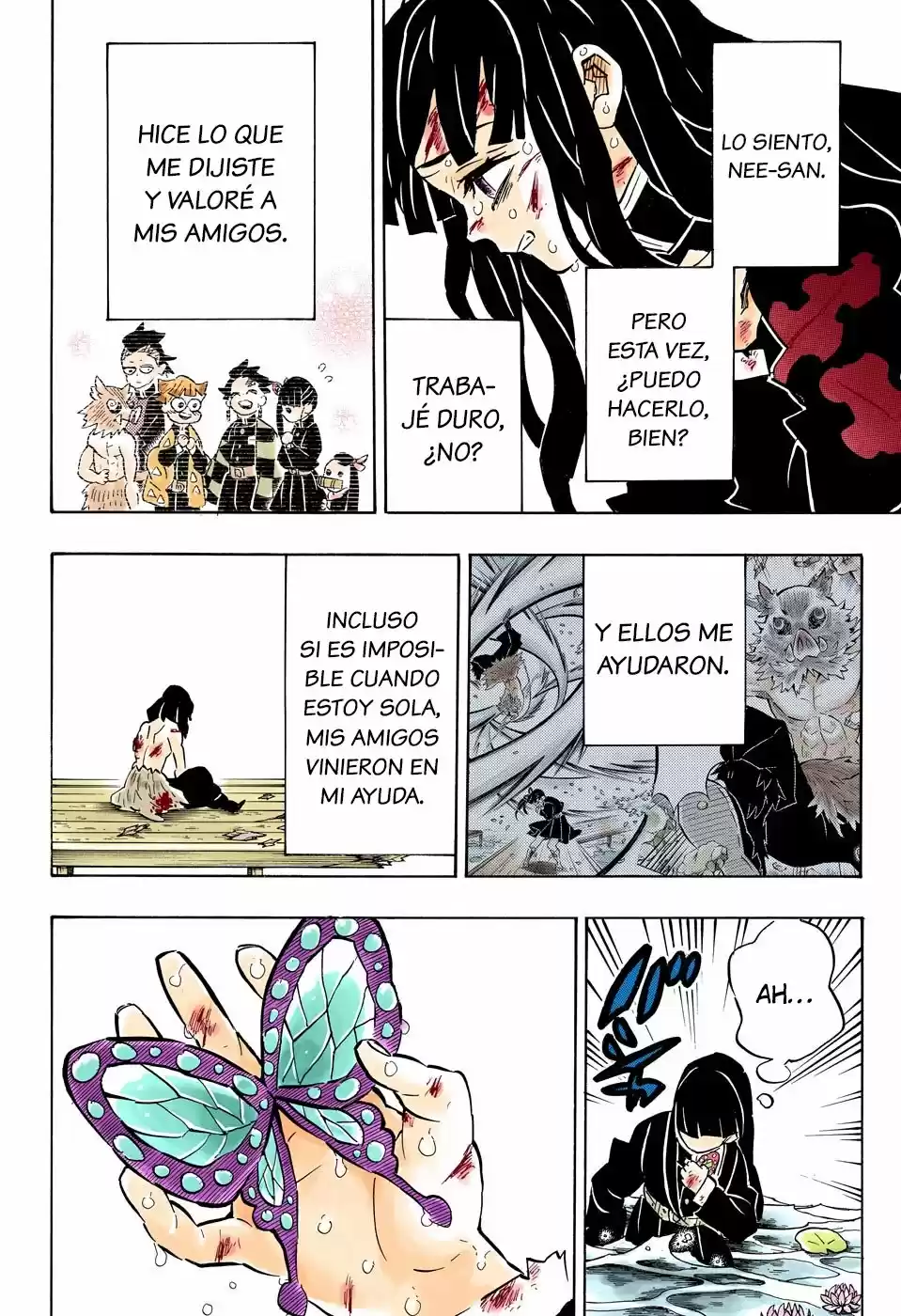 Kimetsu No Yaiba - Capítulo 163.50 - Página 17 - LectorTMOo
