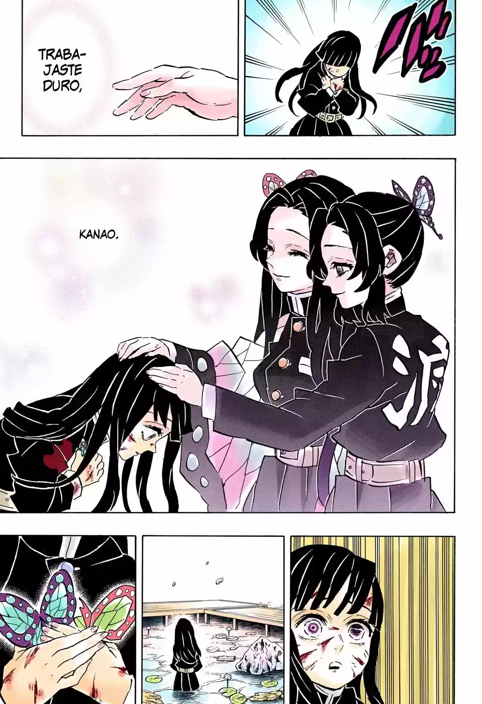 Kimetsu No Yaiba - Capítulo 163.50 - Página 18 - LectorTMOo