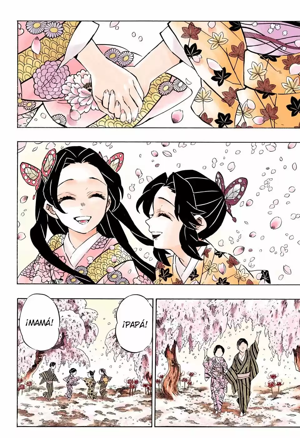 Kimetsu No Yaiba - Capítulo 163.50 - Página 19 - LectorTMOo