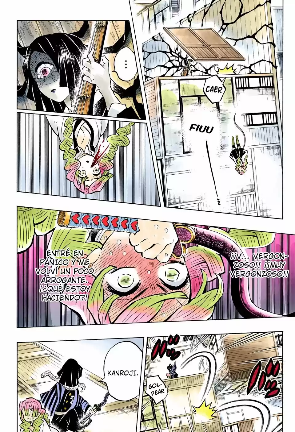 Kimetsu No Yaiba - Capítulo 164.50 - Página 9 - LectorTMOo