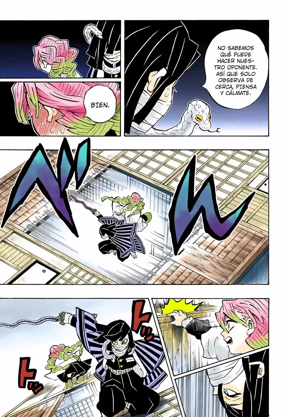 Kimetsu No Yaiba - Capítulo 164.50 - Página 10 - LectorTMOo