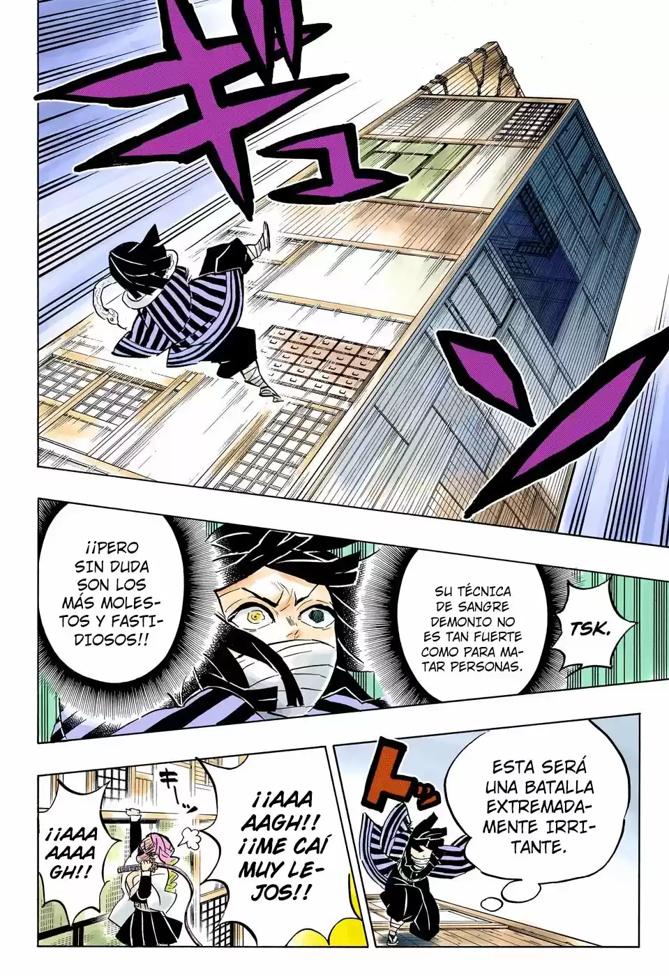 Kimetsu No Yaiba - Capítulo 164.50 - Página 17 - LectorTMOo