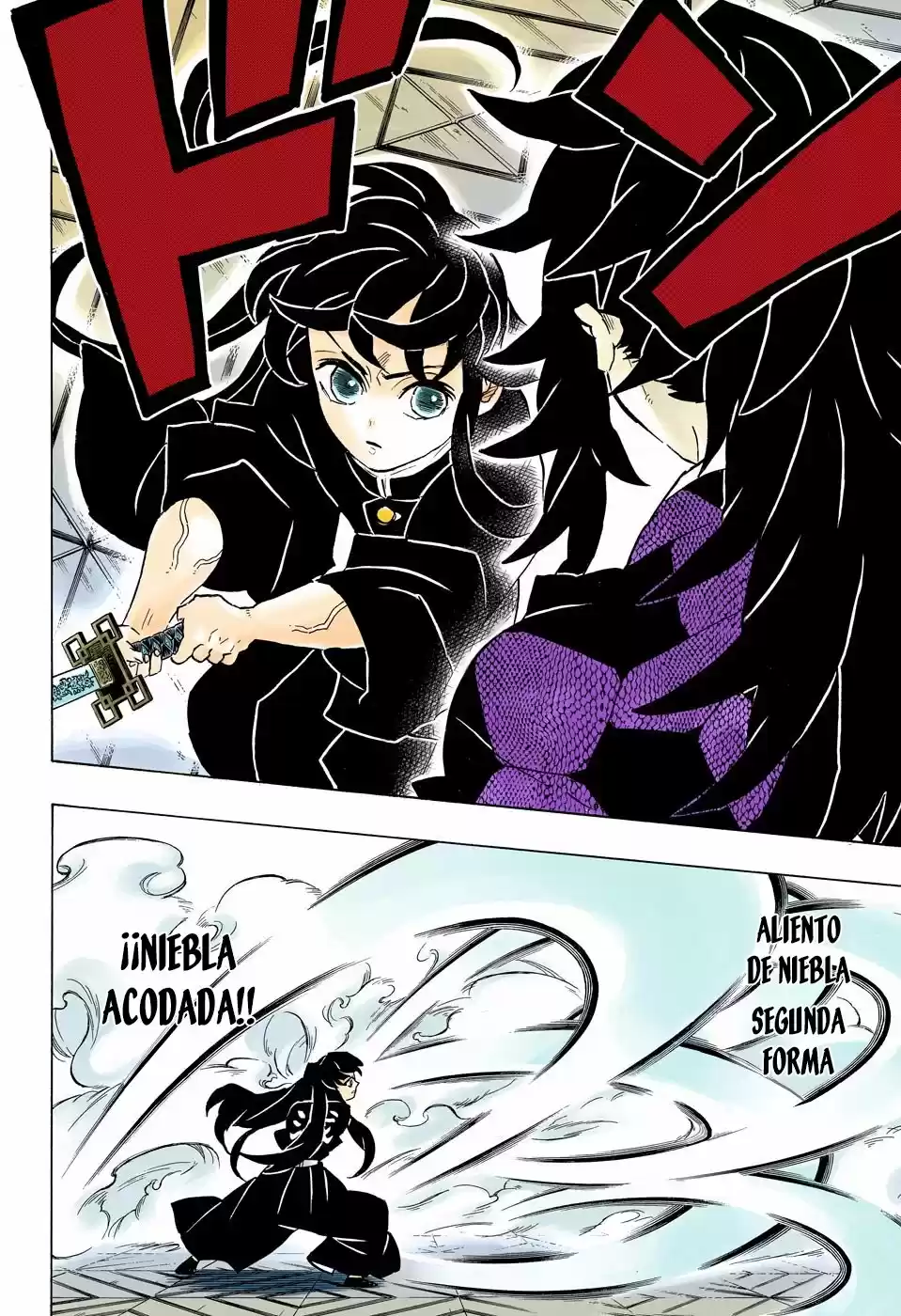Kimetsu No Yaiba - Capítulo 165.50 - Página 9 - LectorTMOo