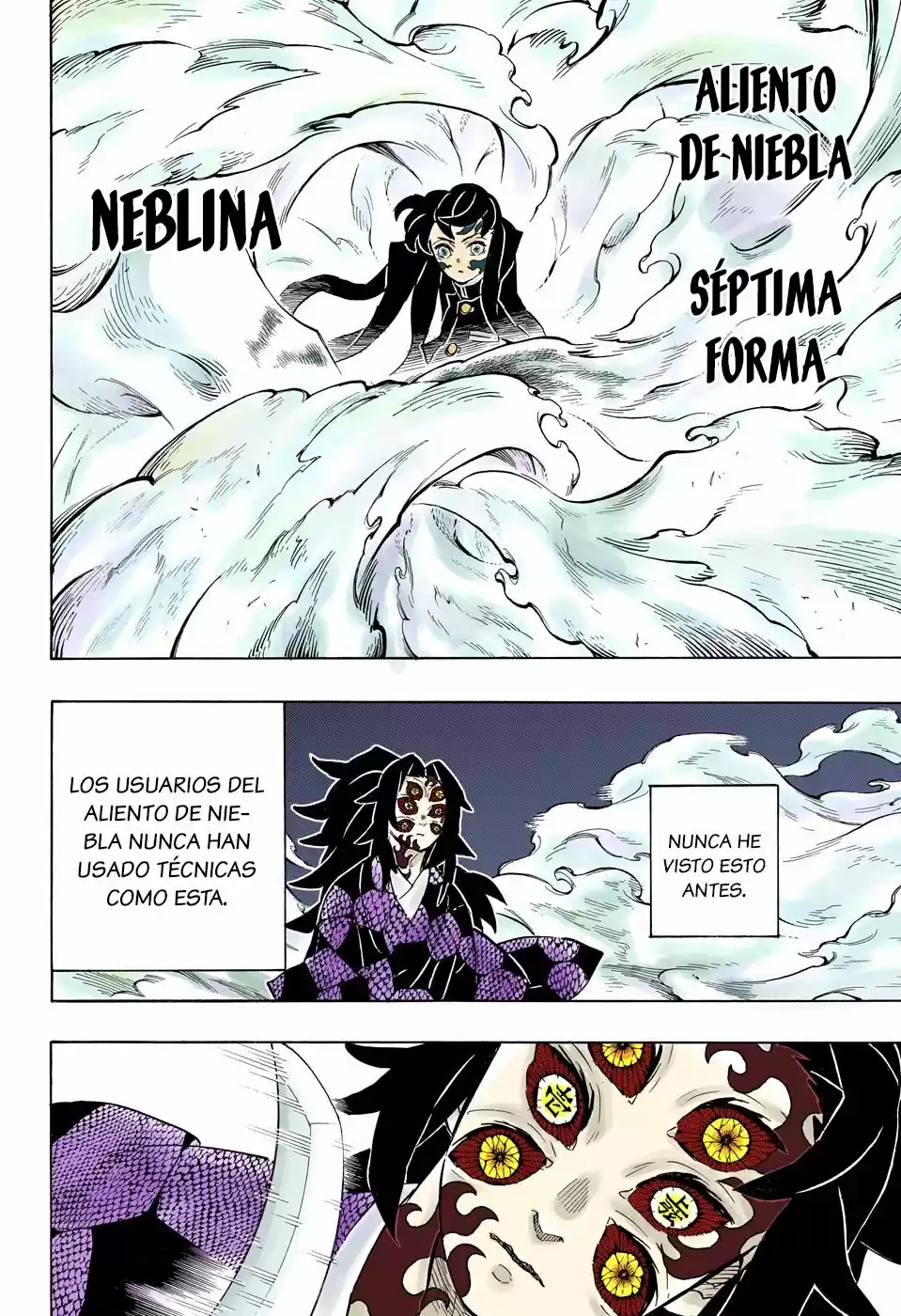Kimetsu No Yaiba - Capítulo 165.50 - Página 13 - LectorTMOo