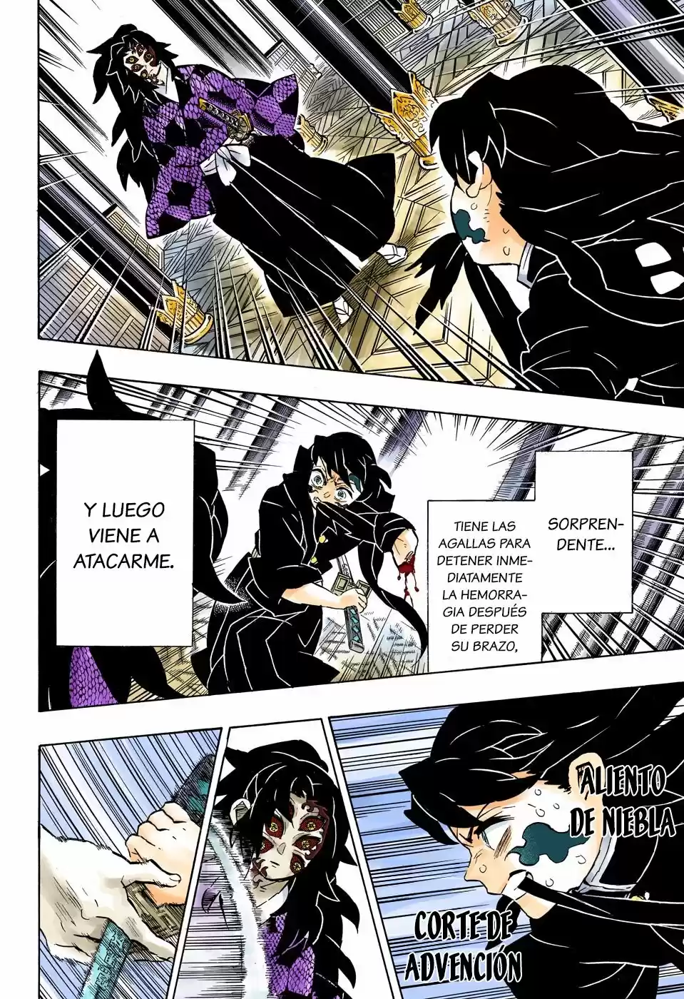 Kimetsu No Yaiba - Capítulo 165.50 - Página 18 - LectorTMOo