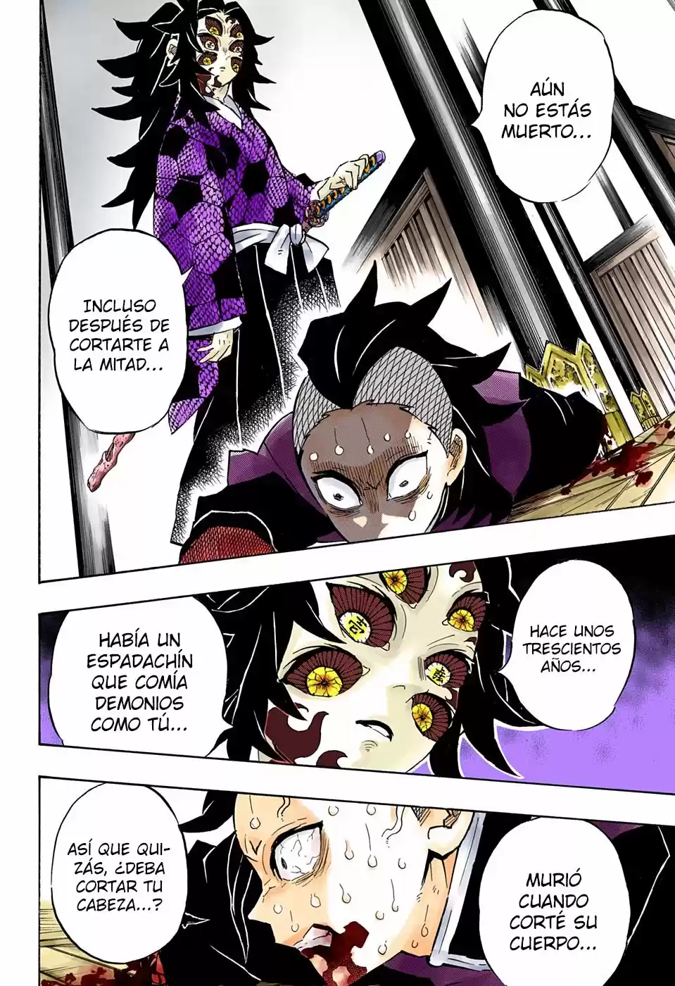 Kimetsu No Yaiba - Capítulo 166.50 - Página 9 - LectorTMOo