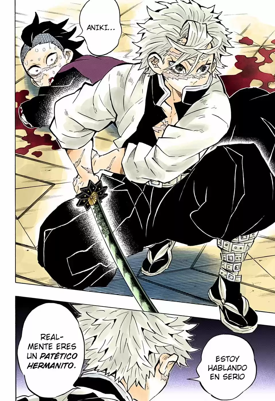 Kimetsu No Yaiba - Capítulo 166.50 - Página 13 - LectorTMOo