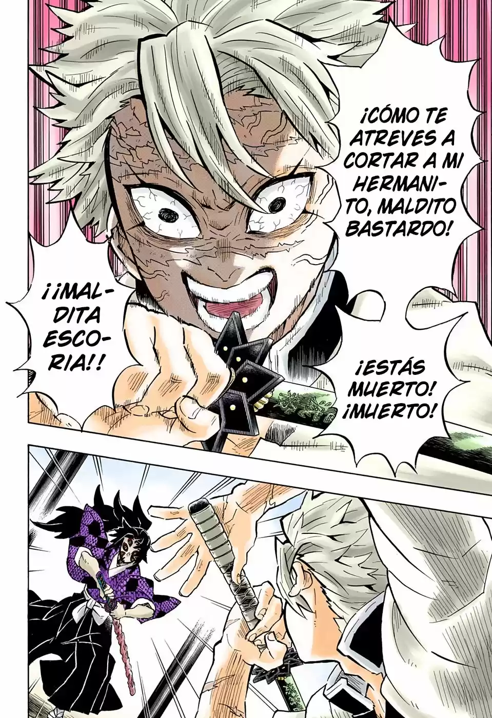 Kimetsu No Yaiba - Capítulo 166.50 - Página 17 - LectorTMOo
