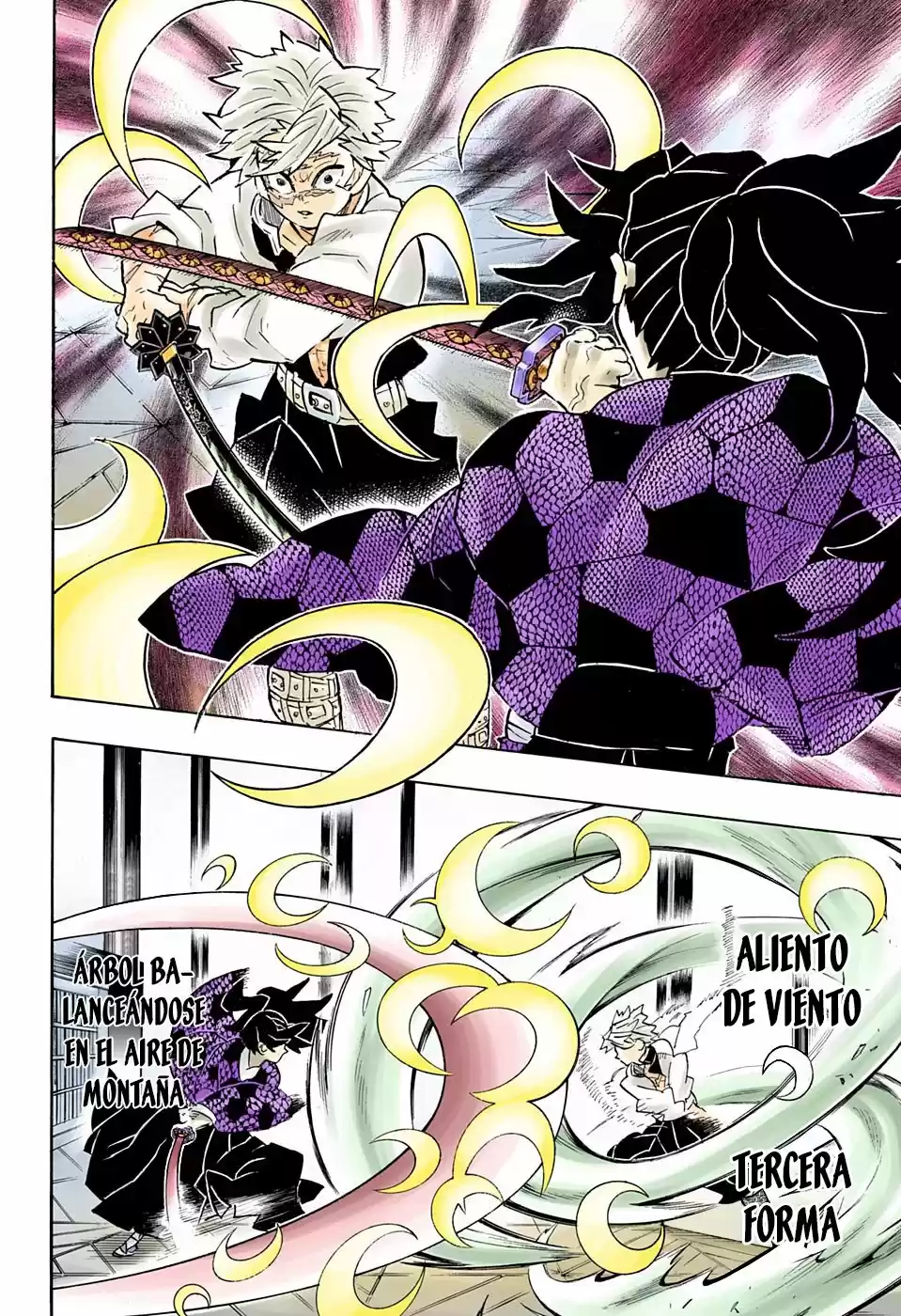 Kimetsu No Yaiba - Capítulo 167.50 - Página 5 - LectorTMOo