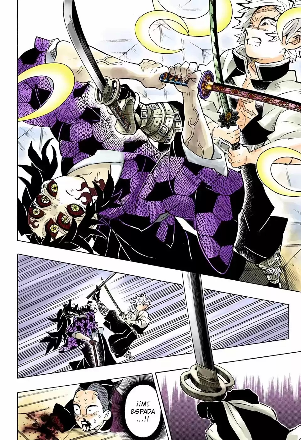 Kimetsu No Yaiba - Capítulo 167.50 - Página 11 - LectorTMOo