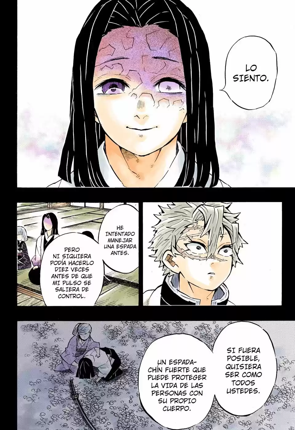 Kimetsu No Yaiba - Capítulo 168.50 - Página 13 - LectorTMOo