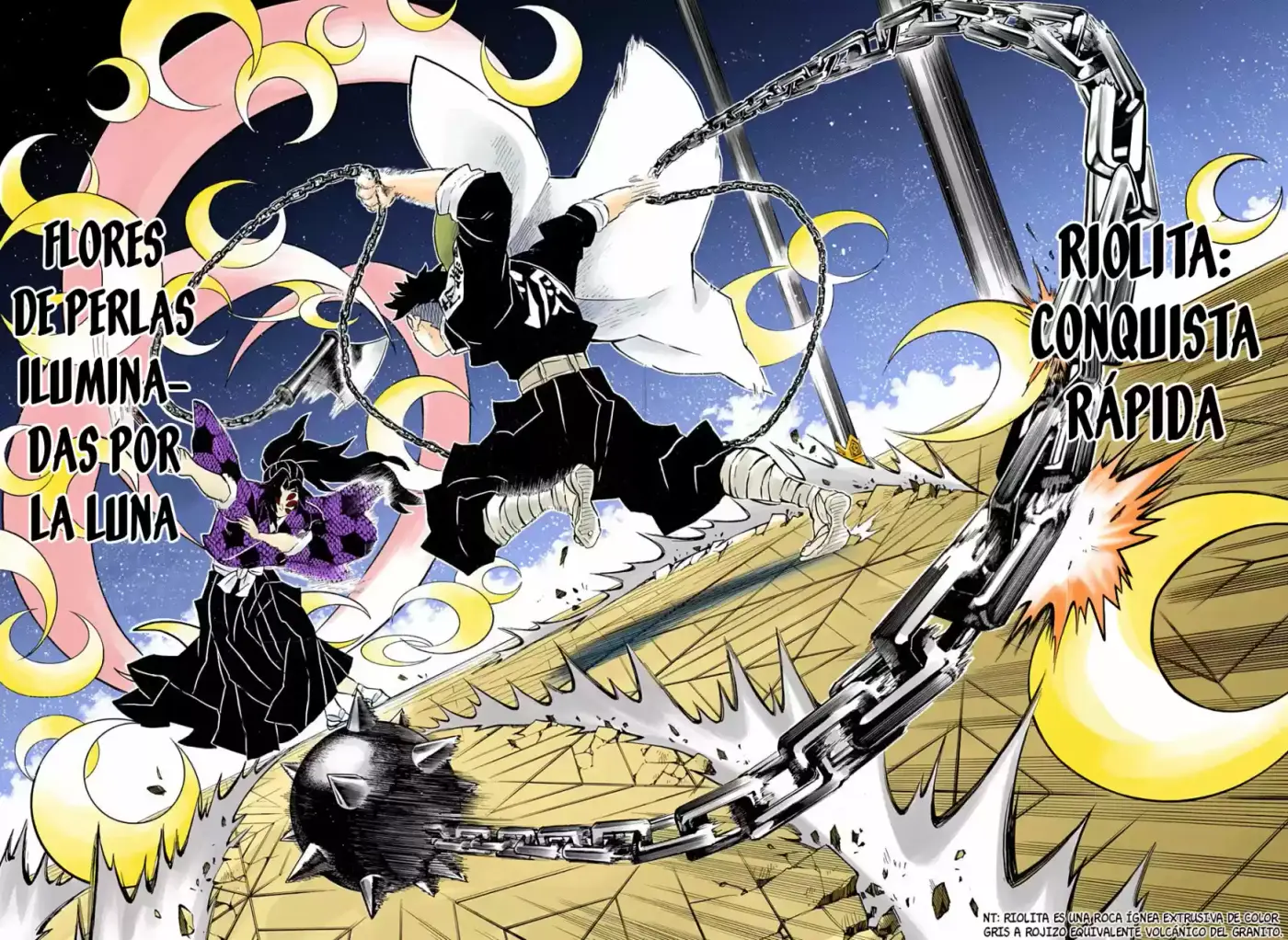 Kimetsu No Yaiba - Capítulo 169.50 - Página 17 - LectorTMOo