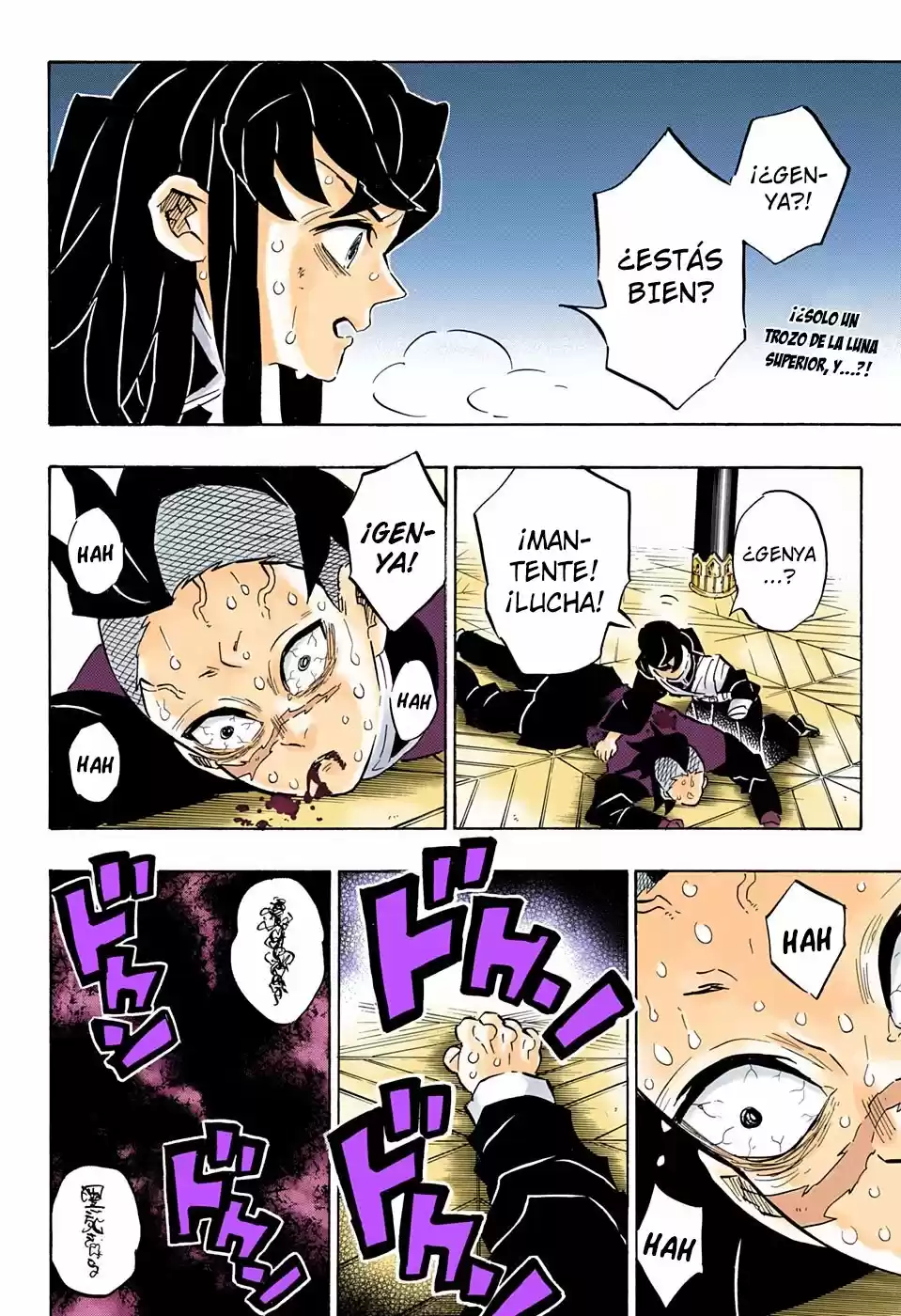 Kimetsu No Yaiba - Capítulo 171.50 - Página 3 - LectorTMOo