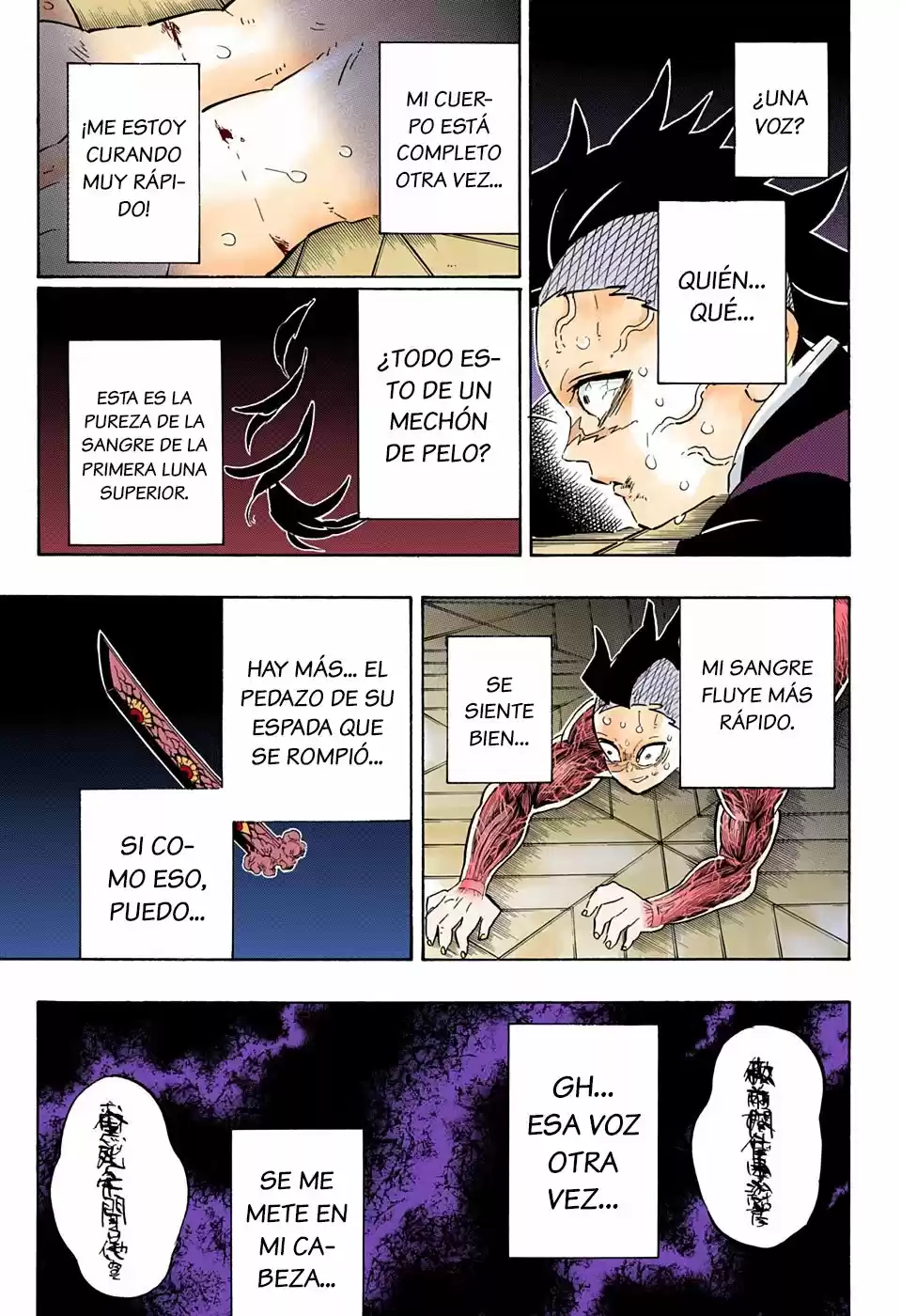 Kimetsu No Yaiba - Capítulo 171.50 - Página 4 - LectorTMOo