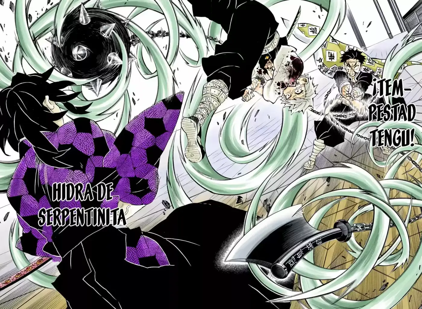 Kimetsu No Yaiba - Capítulo 171.50 - Página 13 - LectorTMOo