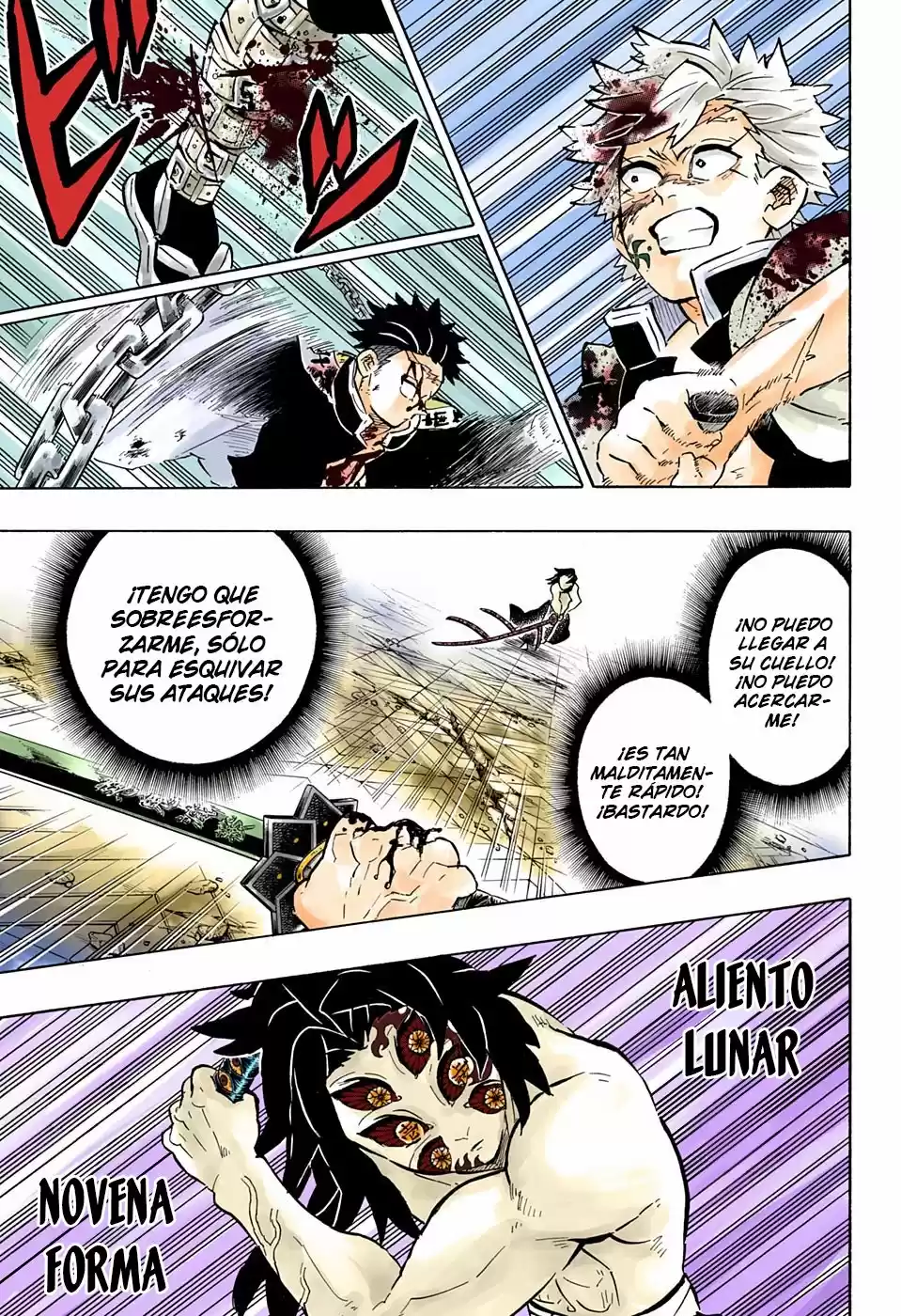 Kimetsu No Yaiba - Capítulo 172.50 - Página 10 - LectorTMOo