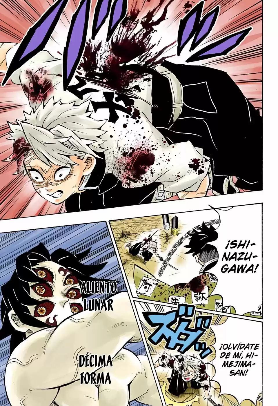 Kimetsu No Yaiba - Capítulo 172.50 - Página 12 - LectorTMOo