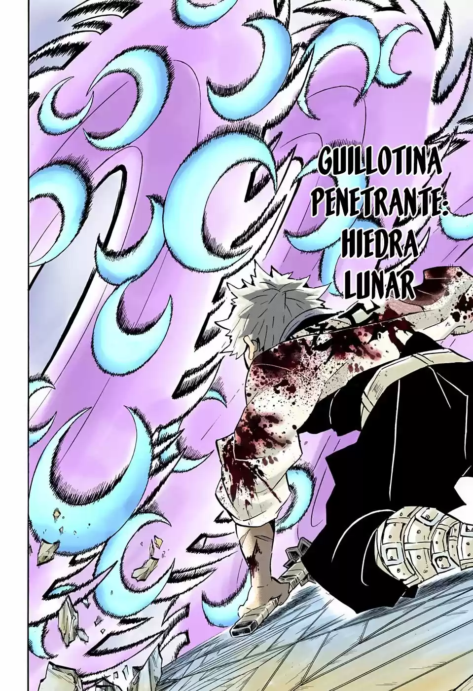 Kimetsu No Yaiba - Capítulo 172.50 - Página 13 - LectorTMOo