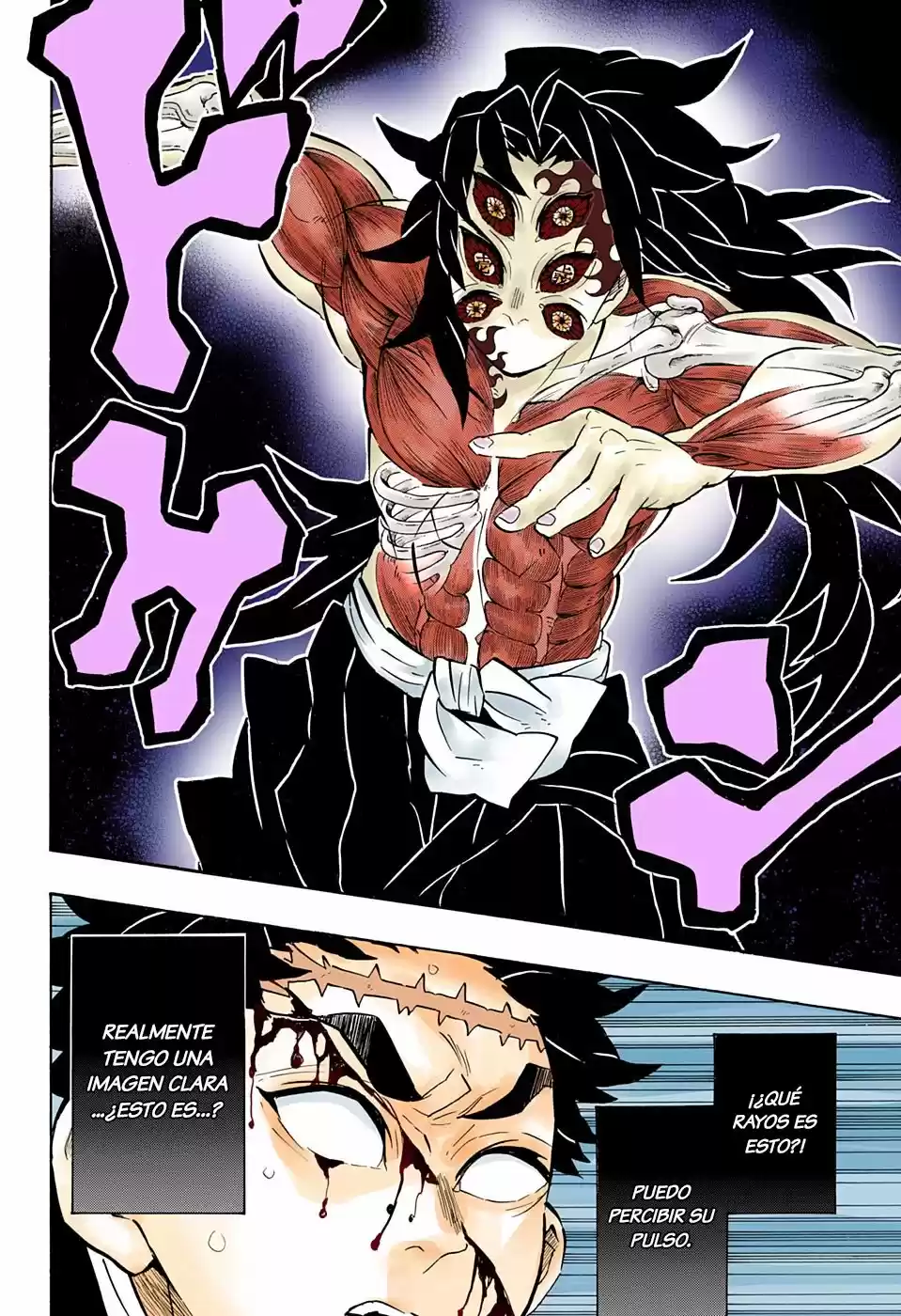 Kimetsu No Yaiba - Capítulo 173.50 - Página 7 - LectorTMOo