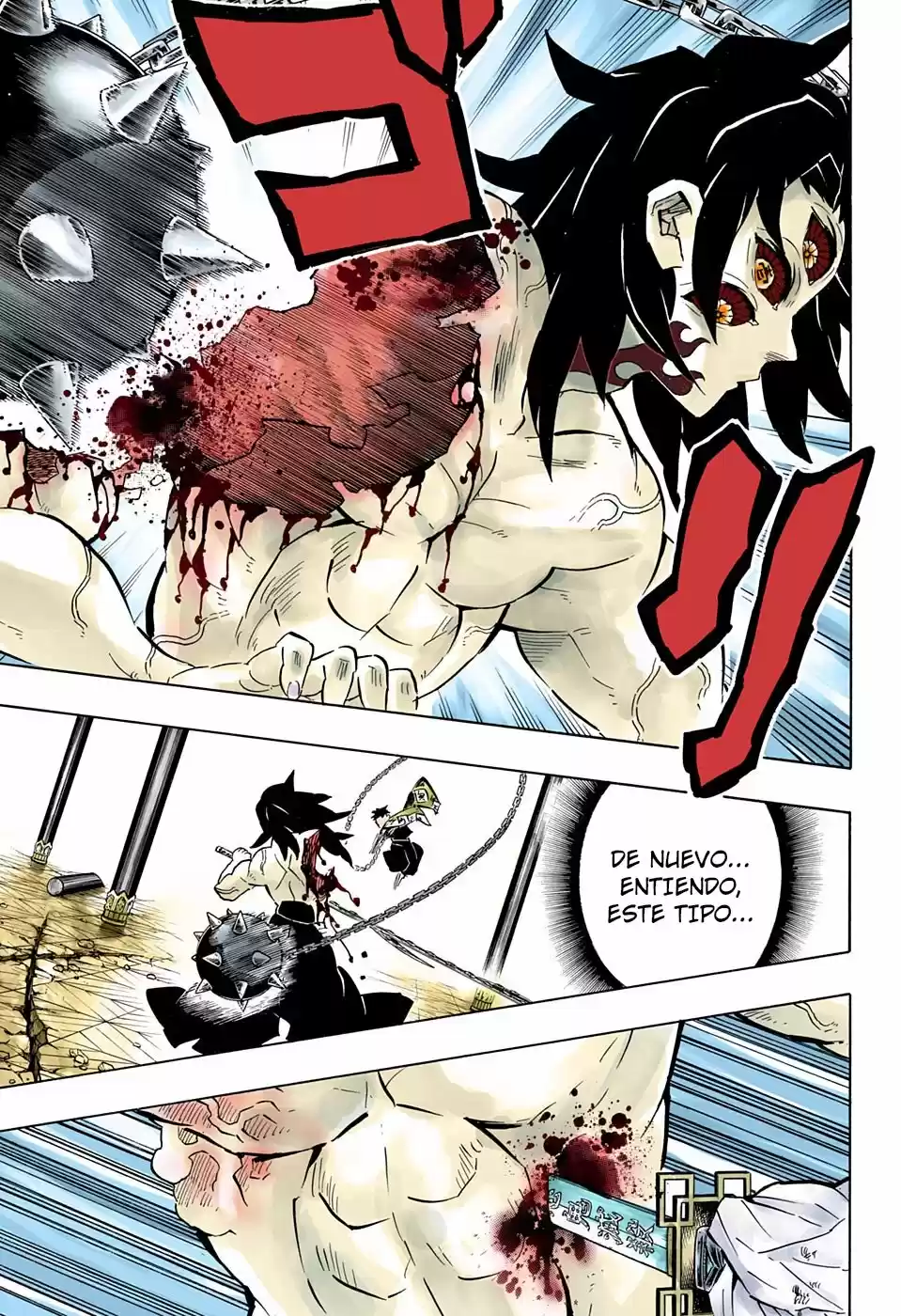 Kimetsu No Yaiba - Capítulo 173.50 - Página 14 - LectorTMOo