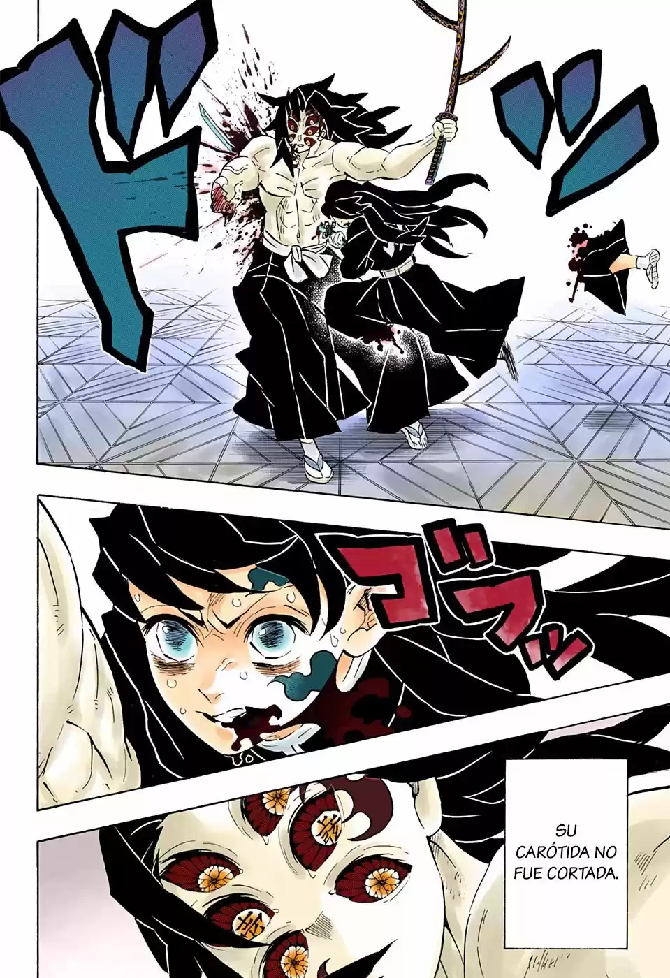 Kimetsu No Yaiba - Capítulo 173.50 - Página 15 - LectorTMOo