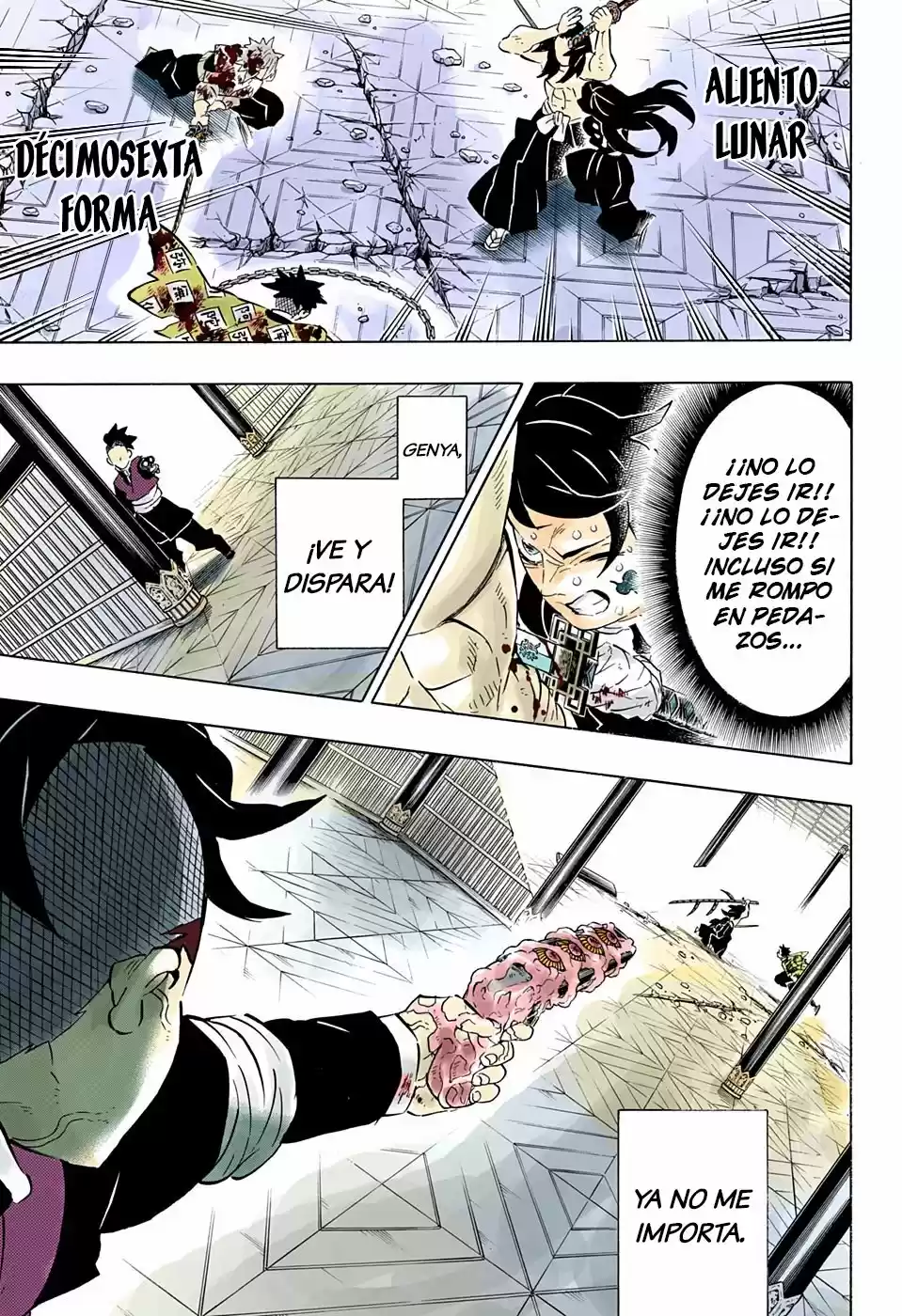 Kimetsu No Yaiba - Capítulo 173.50 - Página 18 - LectorTMOo