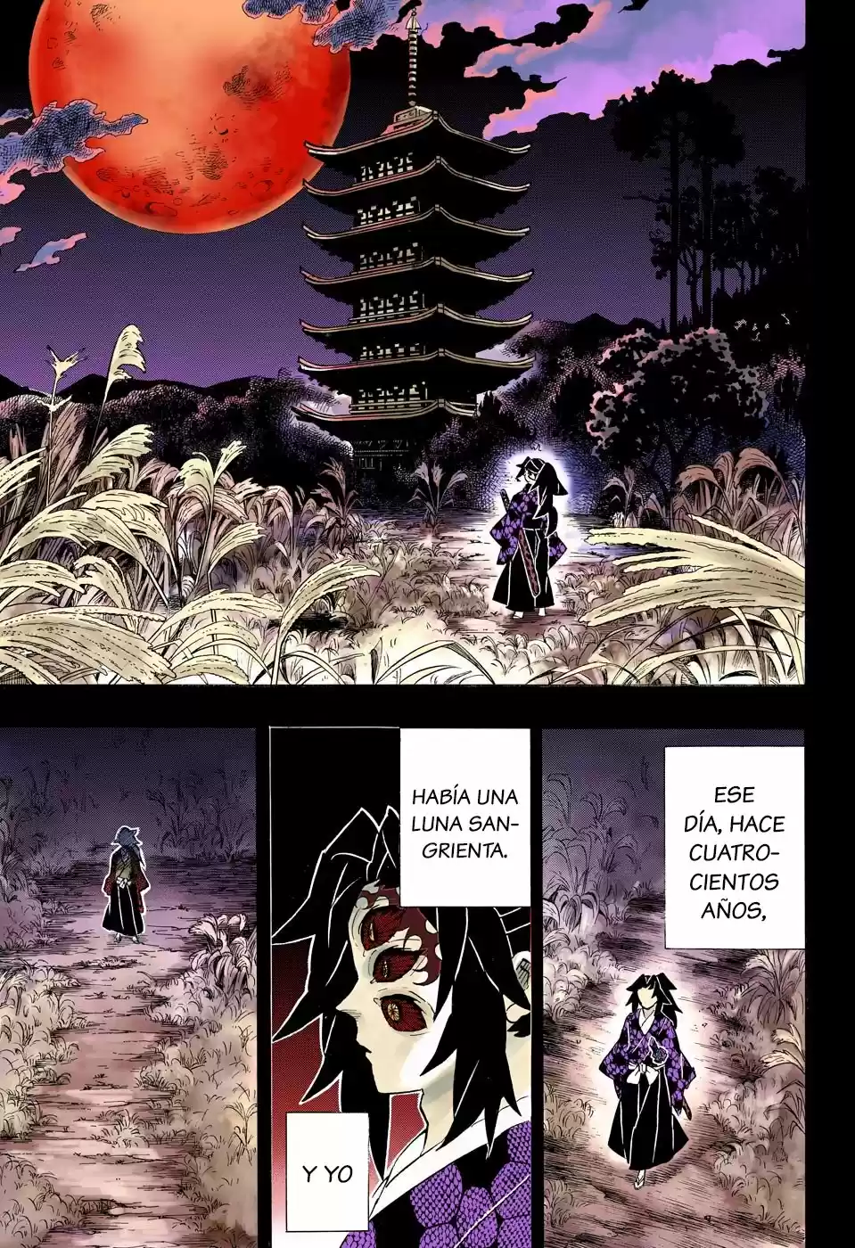 Kimetsu No Yaiba - Capítulo 174.50 - Página 8 - LectorTMOo
