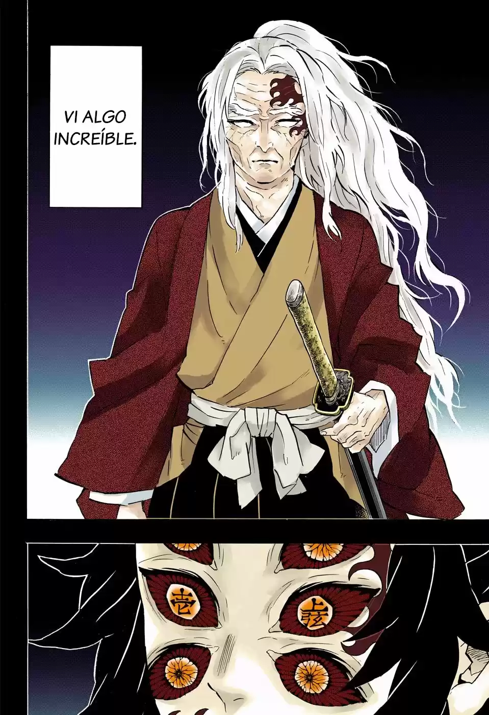 Kimetsu No Yaiba - Capítulo 174.50 - Página 9 - LectorTMOo
