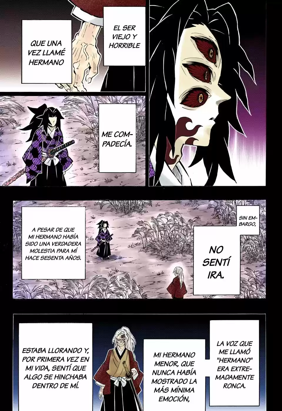 Kimetsu No Yaiba - Capítulo 174.50 - Página 12 - LectorTMOo