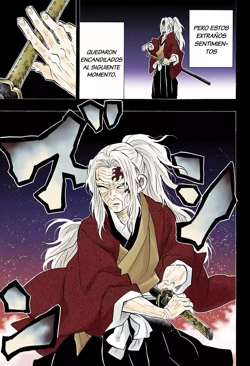 Kimetsu No Yaiba - Capítulo 174.50 - Página 14 - LectorTMOo